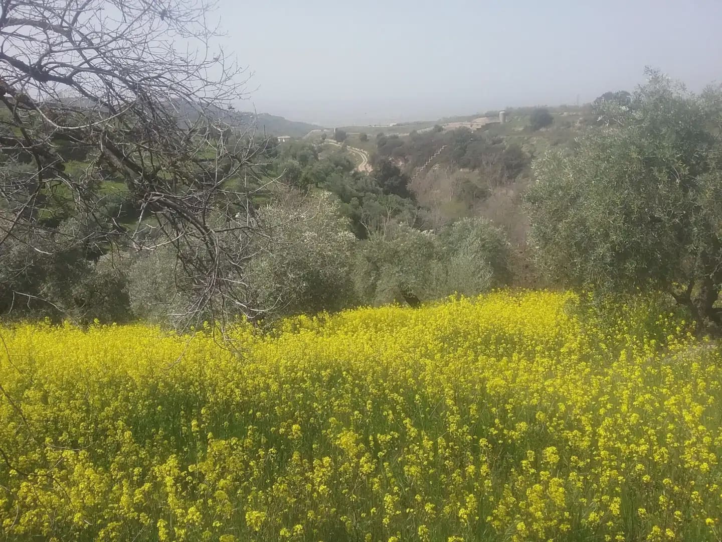 Grunde uden byggetilladelser til salg i Granada by - € 55.000 (Ref: 9837079)