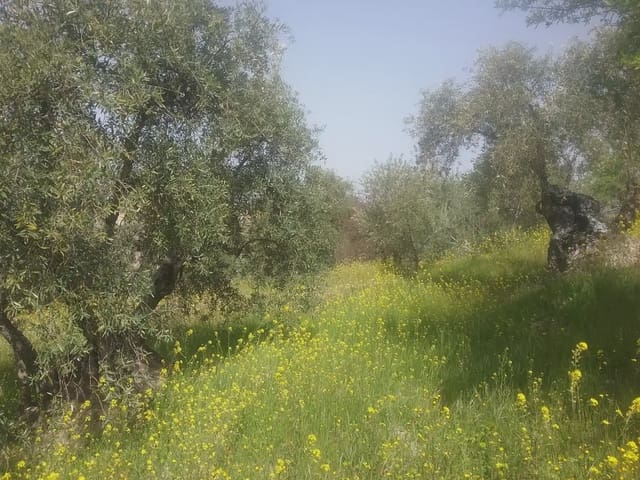Grunde uden byggetilladelser til salg i Poligono Cartuja - La Paz, Granada by - € 55.000 (Ref: 9837079)