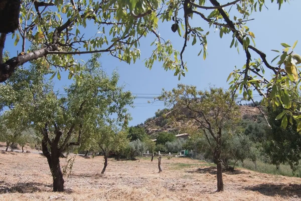 Finca/Country House for sale in Guejar Sierra with pool garage - € 450,000 (Ref: 9837080)