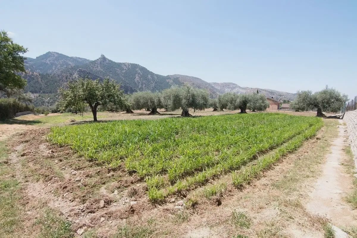 Finca/Country House for sale in Guejar Sierra with pool garage - € 450,000 (Ref: 9837080)