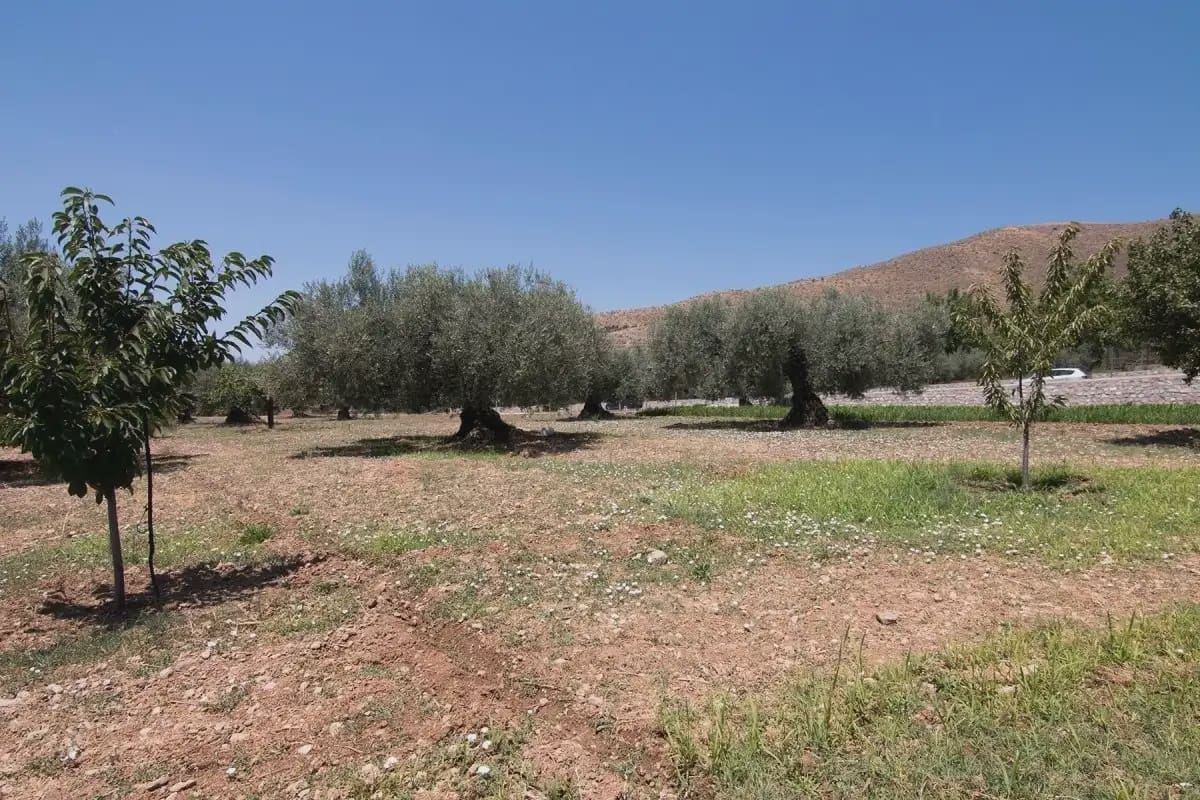 Finca/Country House for sale in Guejar Sierra with pool garage - € 450,000 (Ref: 9837080)