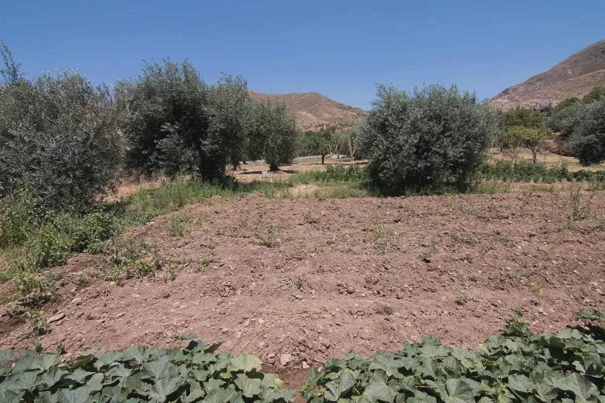 Finca/Country House for sale in Guejar Sierra with pool garage - € 450,000 (Ref: 9837080)