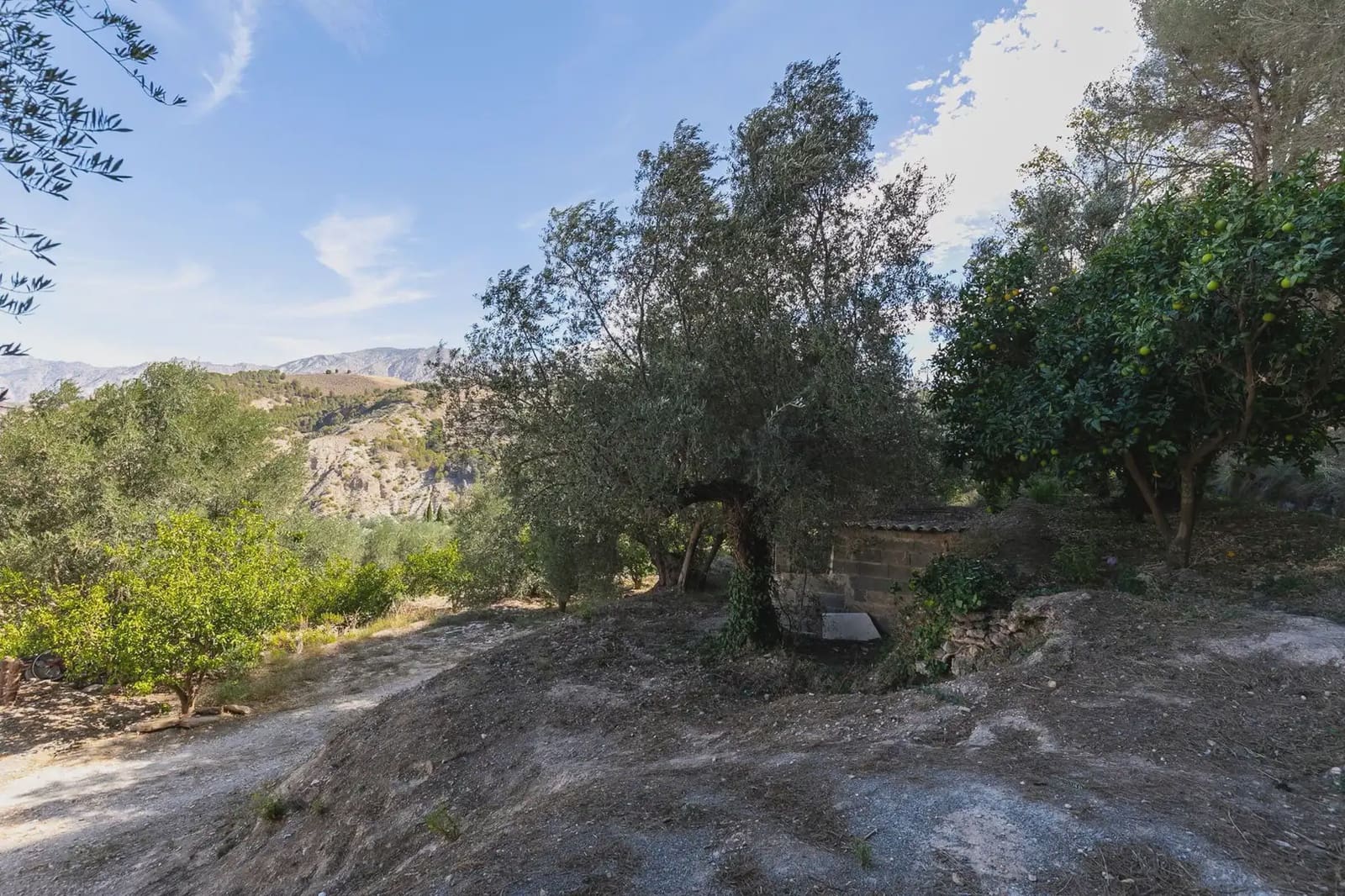 Finca/Herregård til salgs i Villamena - € 139 000 (Ref: 9837081)
