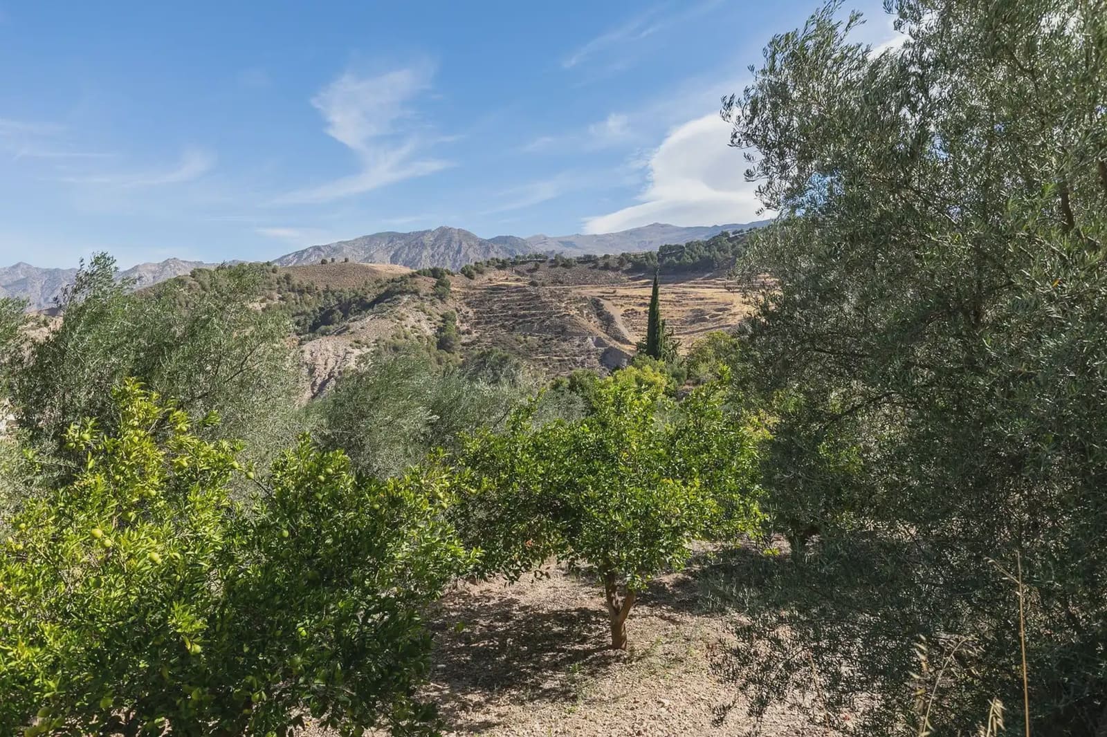 Finca/Herregård til salgs i Villamena - € 139 000 (Ref: 9837081)