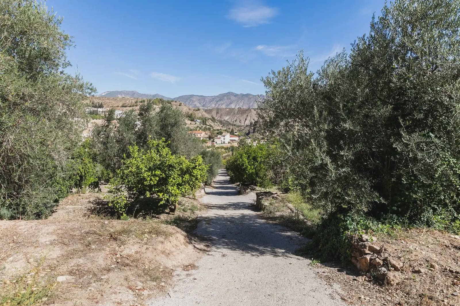 Finca/Herregård til salgs i Villamena - € 139 000 (Ref: 9837081)
