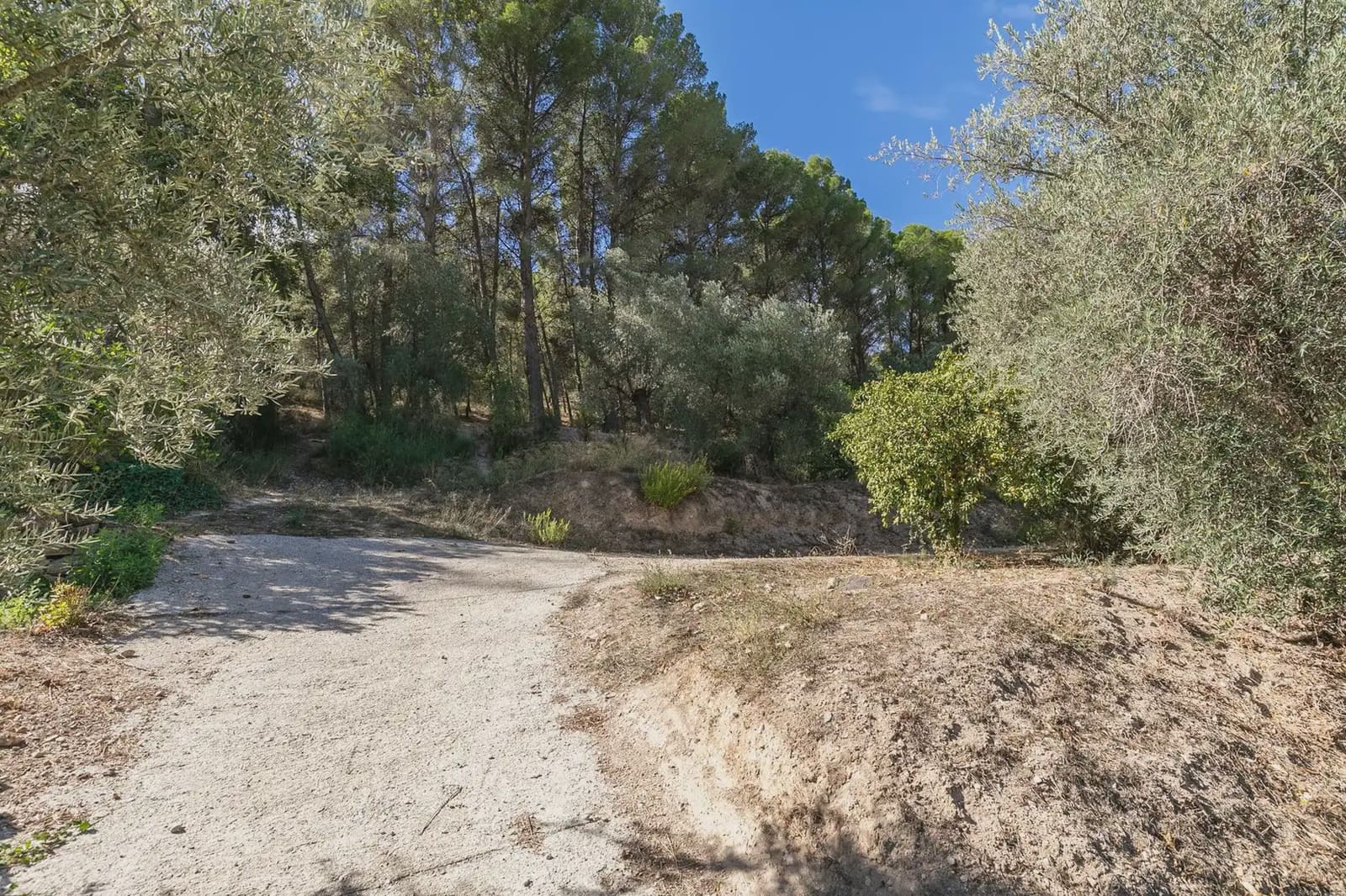Finca/Herregård til salgs i Villamena - € 139 000 (Ref: 9837081)