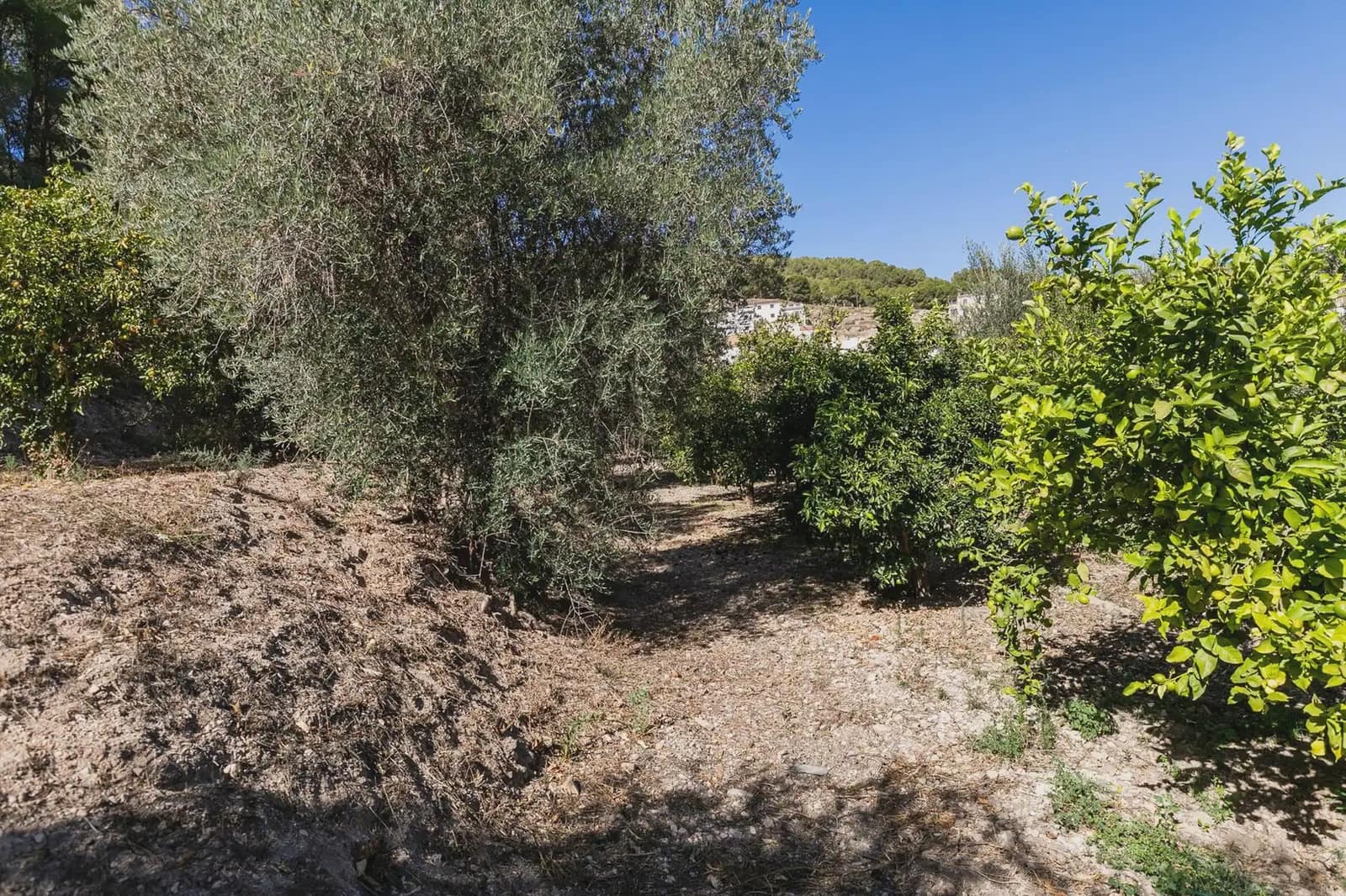 Finca/Herregård til salgs i Villamena - € 139 000 (Ref: 9837081)