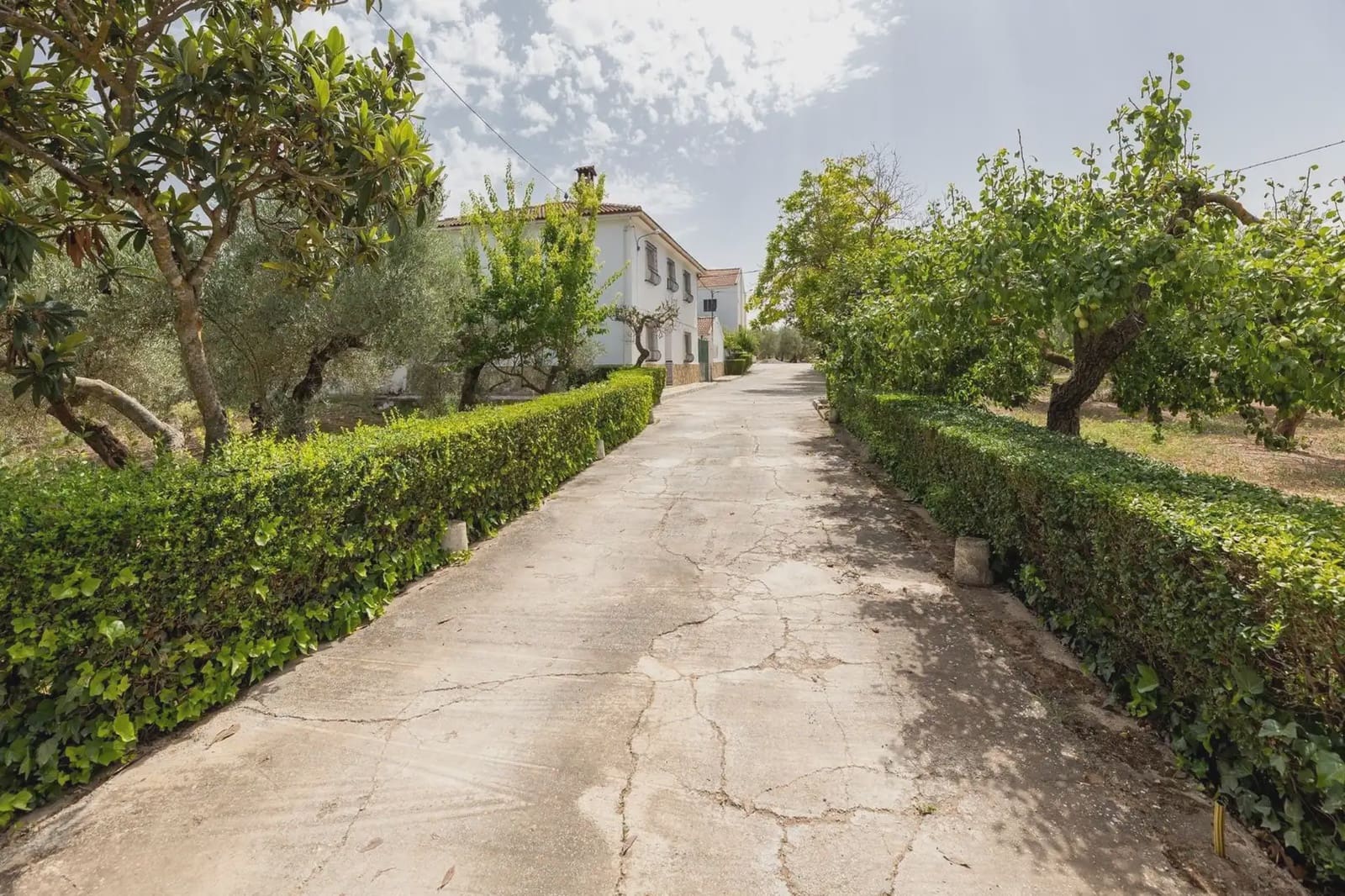 Finca/Country House for sale in Moraleda de Zafayona with pool garage - € 599,000 (Ref: 9837112)