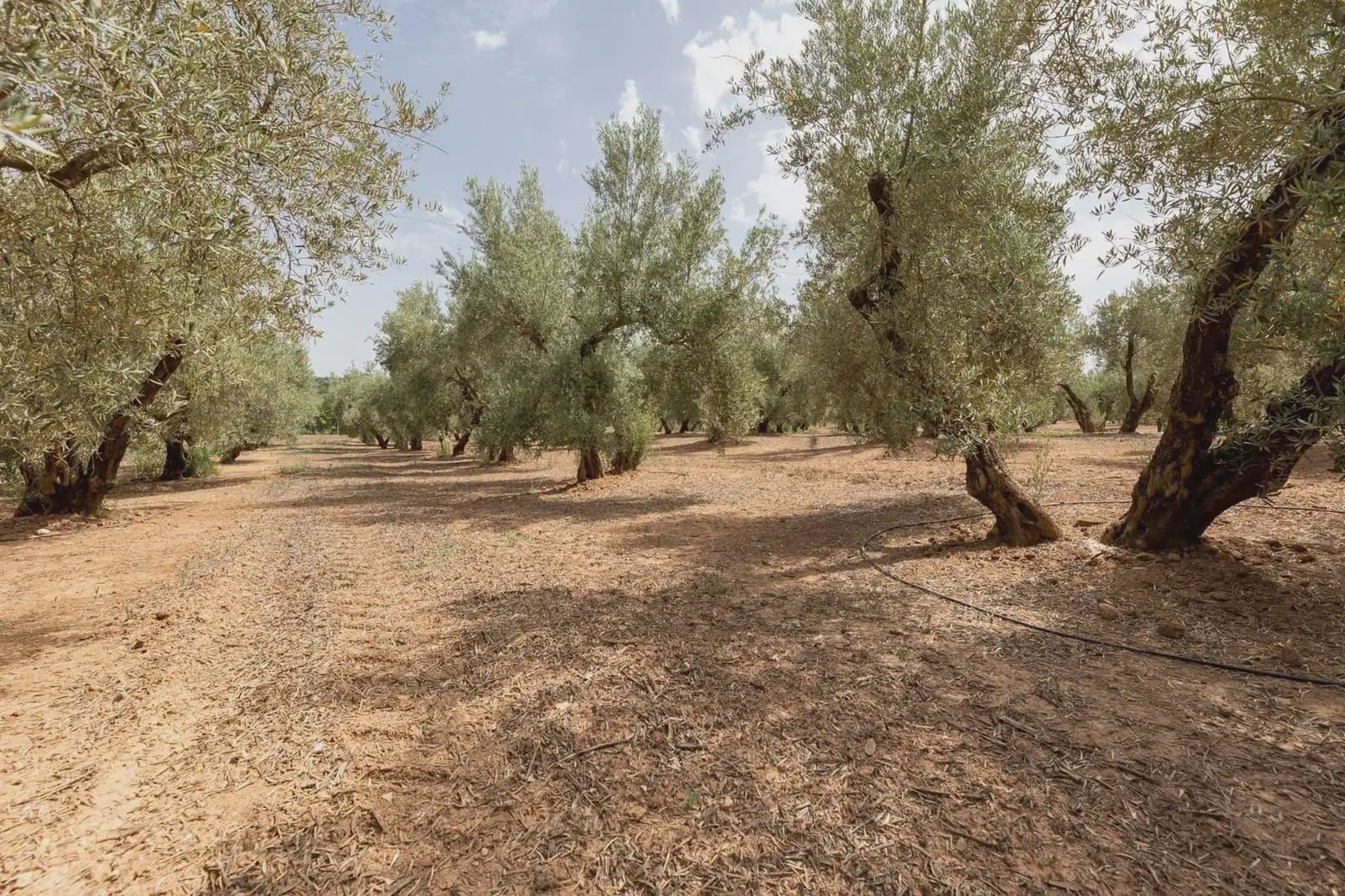Finca/Country House for sale in Moraleda de Zafayona with pool garage - € 599,000 (Ref: 9837112)
