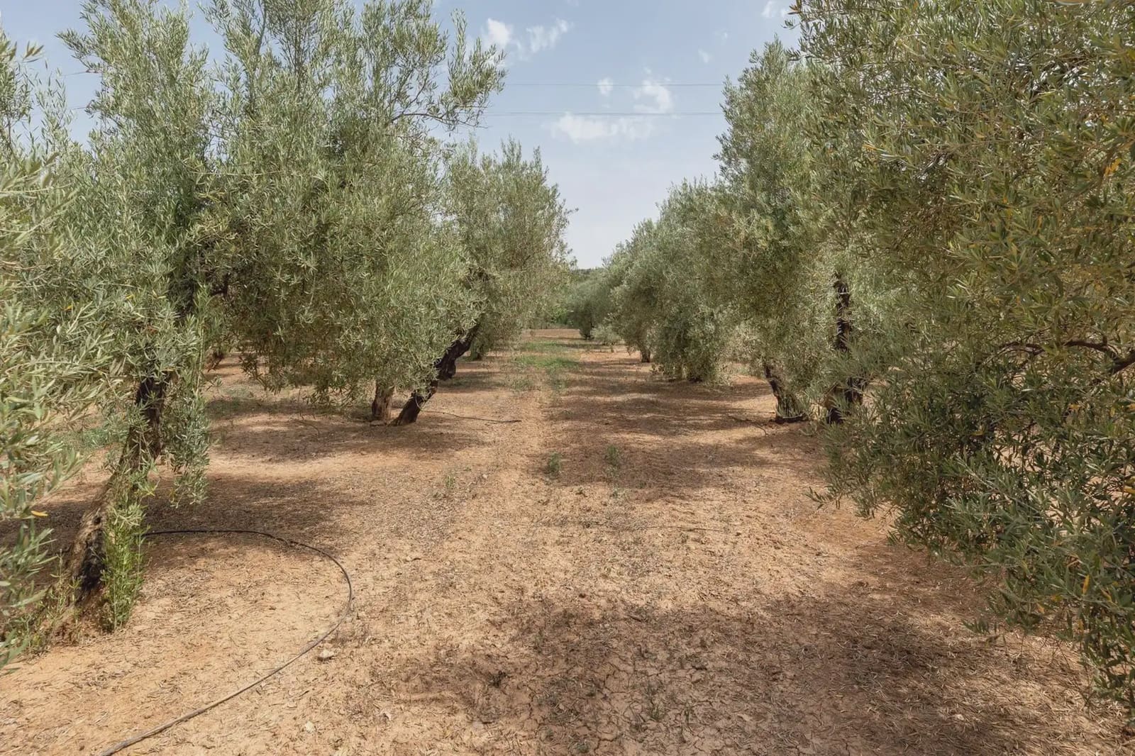Finca/Country House for sale in Moraleda de Zafayona with pool garage - € 599,000 (Ref: 9837112)