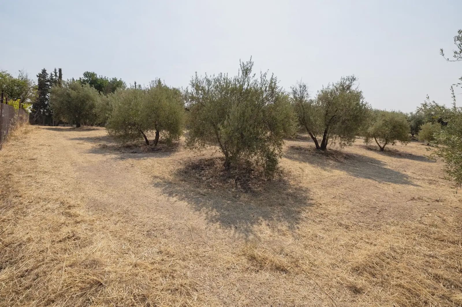 Finca/Country House for sale in Moraleda de Zafayona with garage - € 79,900 (Ref: 9837128)