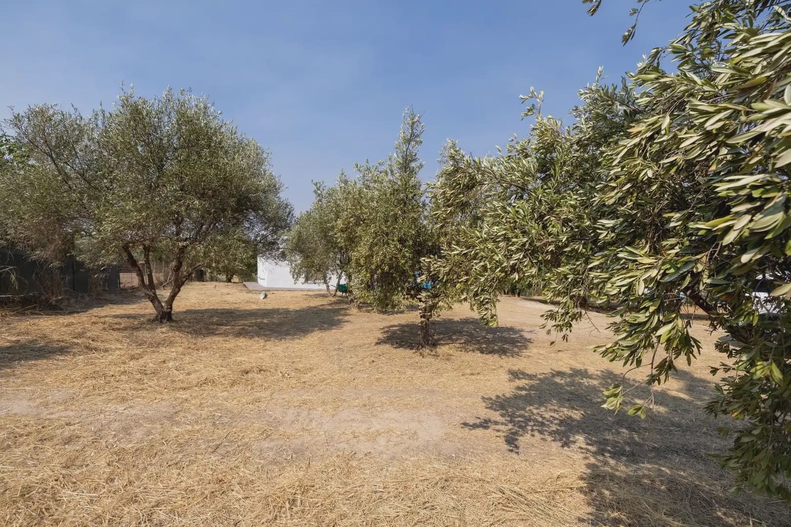 Finca/Country House for sale in Moraleda de Zafayona with garage - € 79,900 (Ref: 9837128)