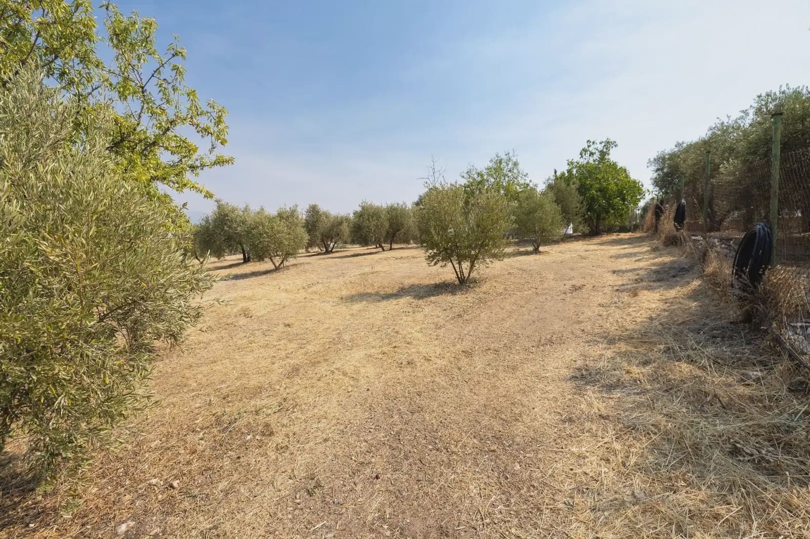 Finca/Country House for sale in Moraleda de Zafayona with garage - € 79,900 (Ref: 9837128)
