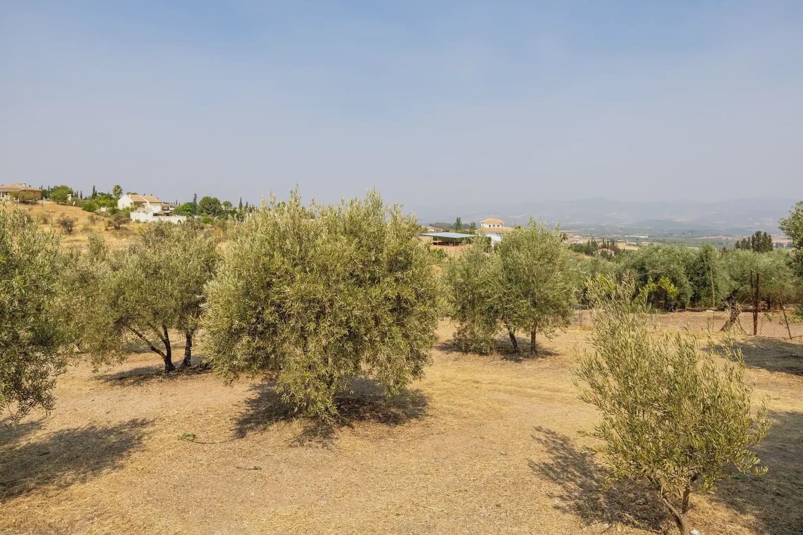 Finca/Country House for sale in Moraleda de Zafayona with garage - € 79,900 (Ref: 9837128)
