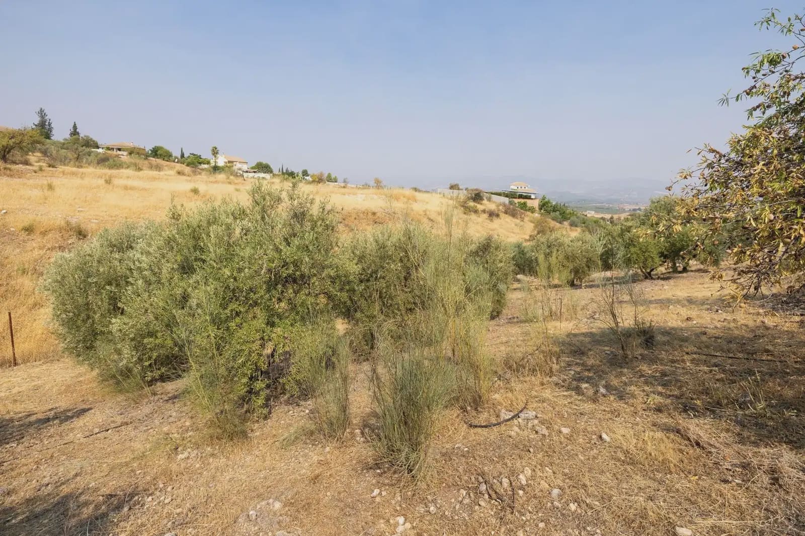 Finca/Country House for sale in Moraleda de Zafayona with garage - € 79,900 (Ref: 9837128)