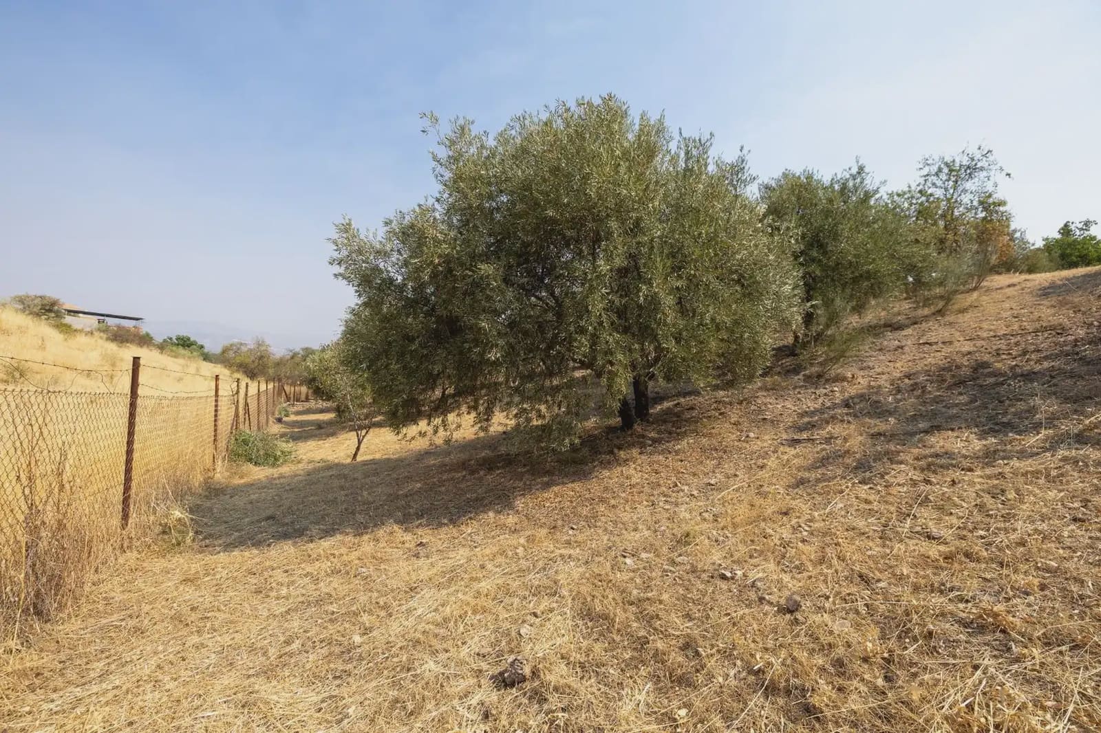 Finca/Country House for sale in Moraleda de Zafayona with garage - € 79,900 (Ref: 9837128)