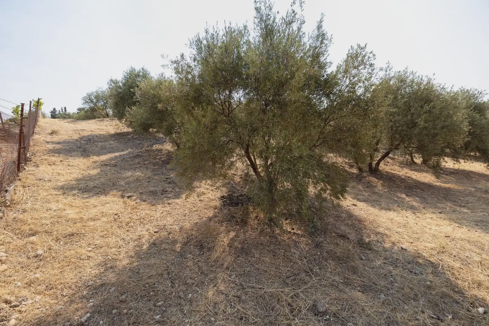Finca/Country House for sale in Moraleda de Zafayona with garage - € 79,900 (Ref: 9837128)