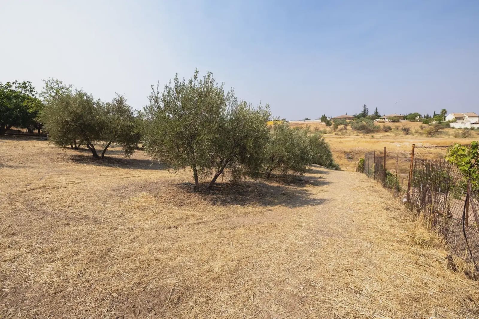 Finca/Country House for sale in Moraleda de Zafayona with garage - € 79,900 (Ref: 9837128)