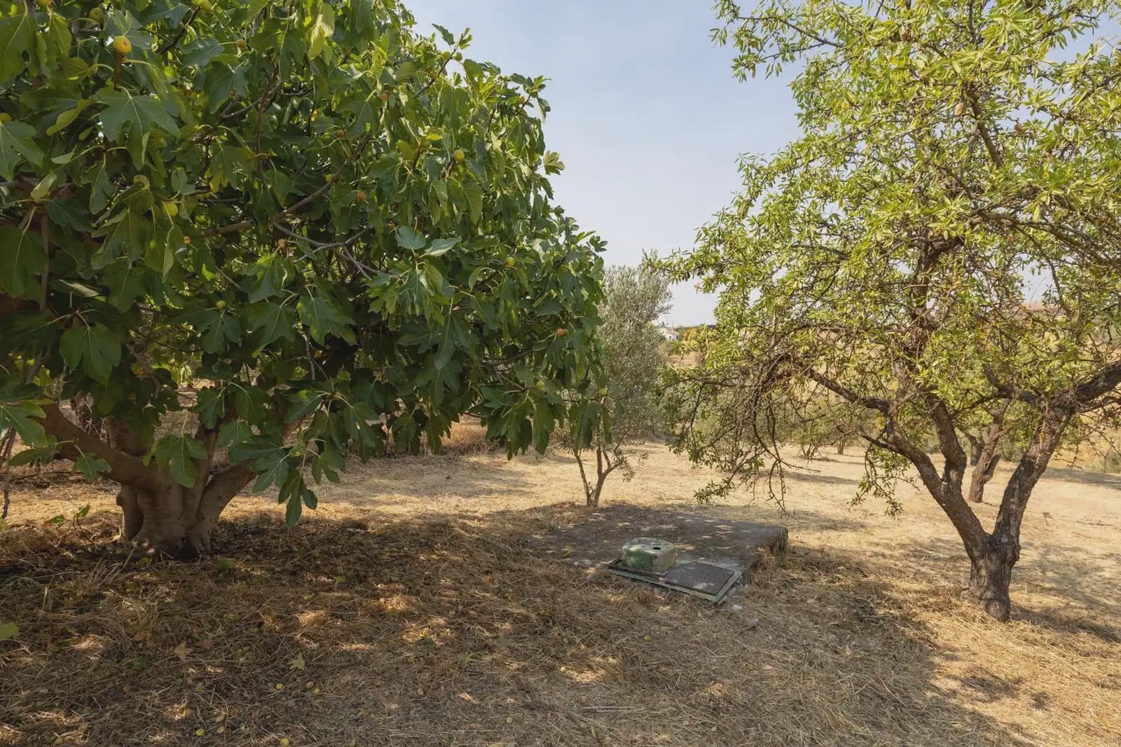 Finca/Country House for sale in Moraleda de Zafayona with garage - € 79,900 (Ref: 9837128)