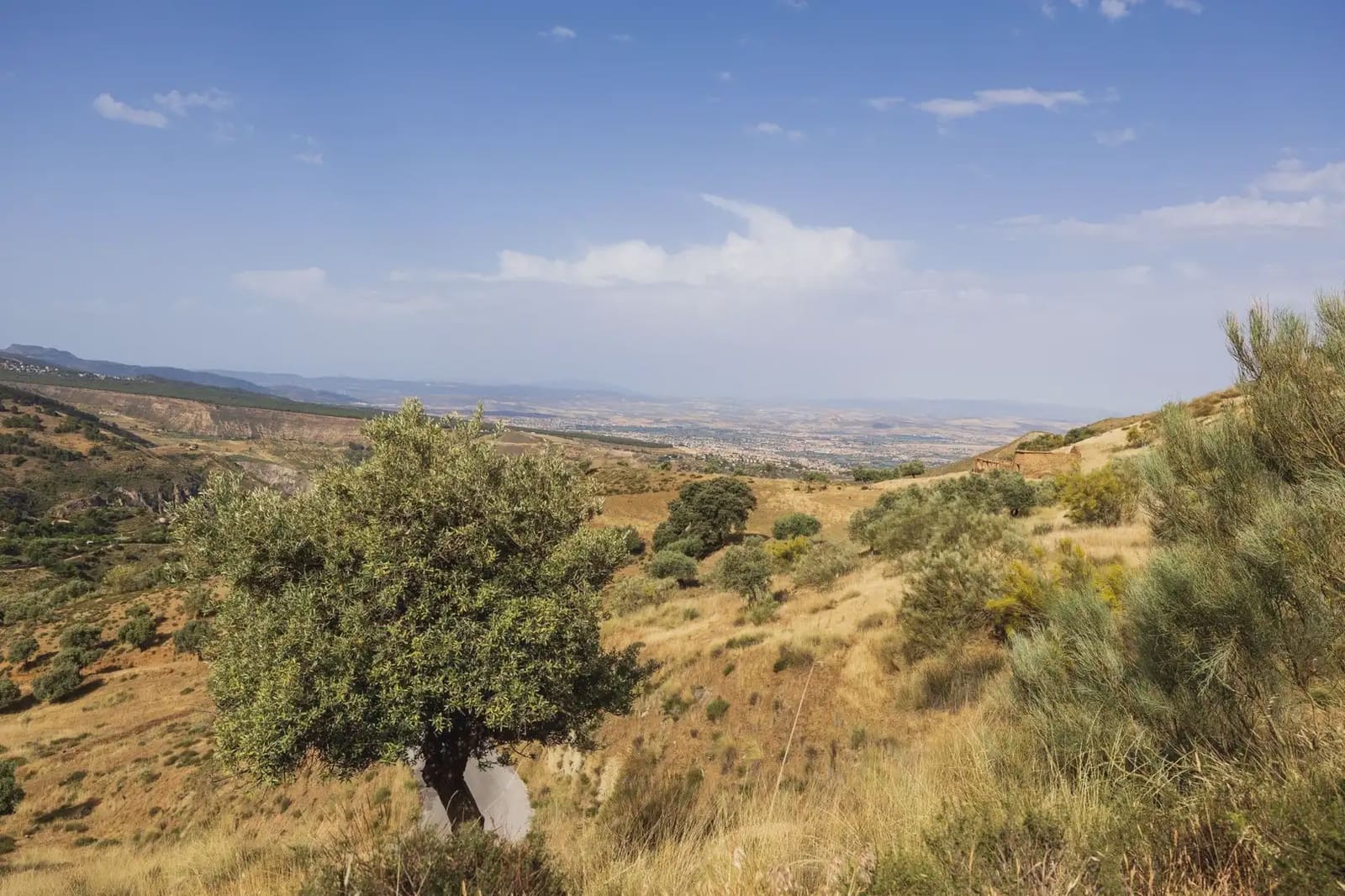 Grunde uden byggetilladelser til salg i Sierra Nevada - € 350.000 (Ref: 9837132)