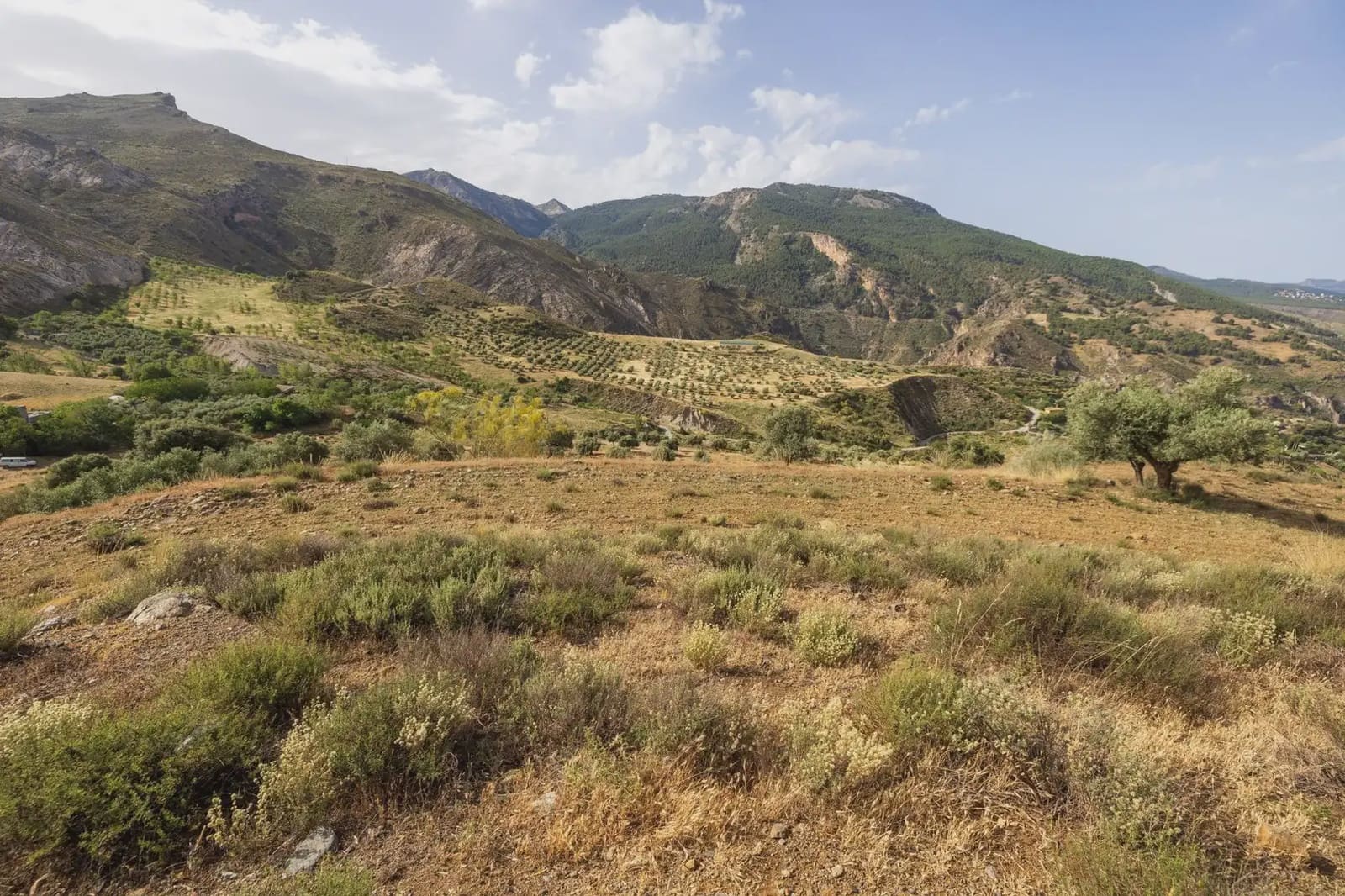 Grunde uden byggetilladelser til salg i Sierra Nevada - € 350.000 (Ref: 9837132)