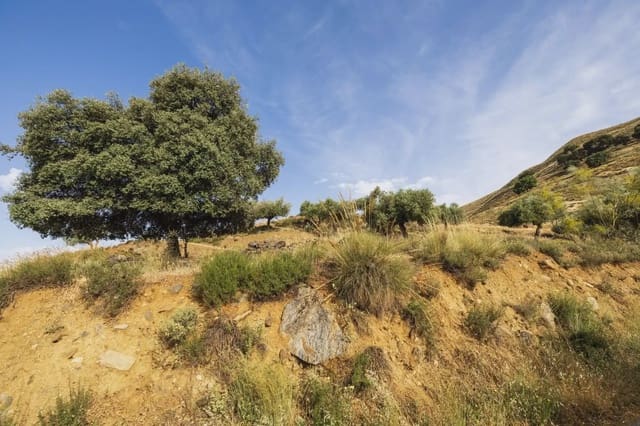 Grunde uden byggetilladelser til salg i Sierra Nevada, Monachil - € 350.000 (Ref: 9837132)