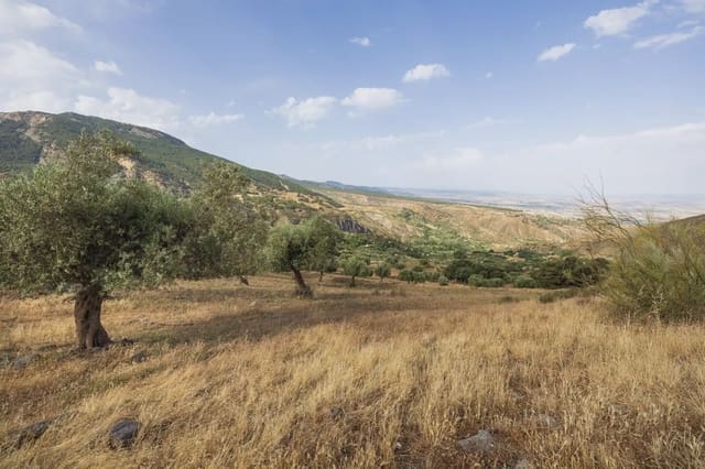 Grunde uden byggetilladelser til salg i Sierra Nevada, Monachil - € 350.000 (Ref: 9837132)