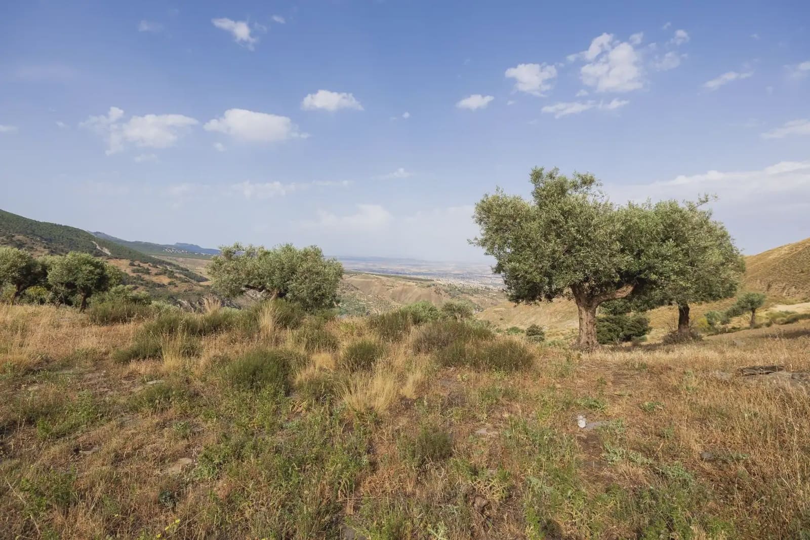 Grunde uden byggetilladelser til salg i Sierra Nevada - € 350.000 (Ref: 9837132)