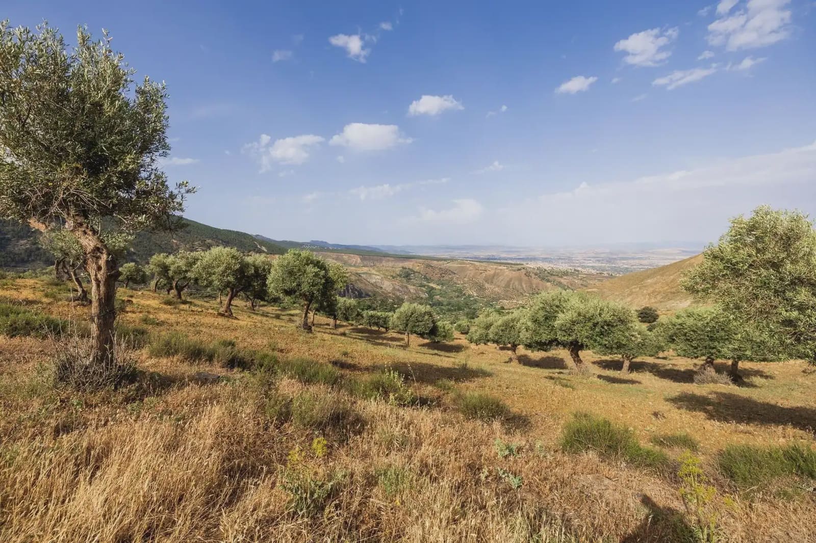 Grunde uden byggetilladelser til salg i Sierra Nevada - € 350.000 (Ref: 9837132)
