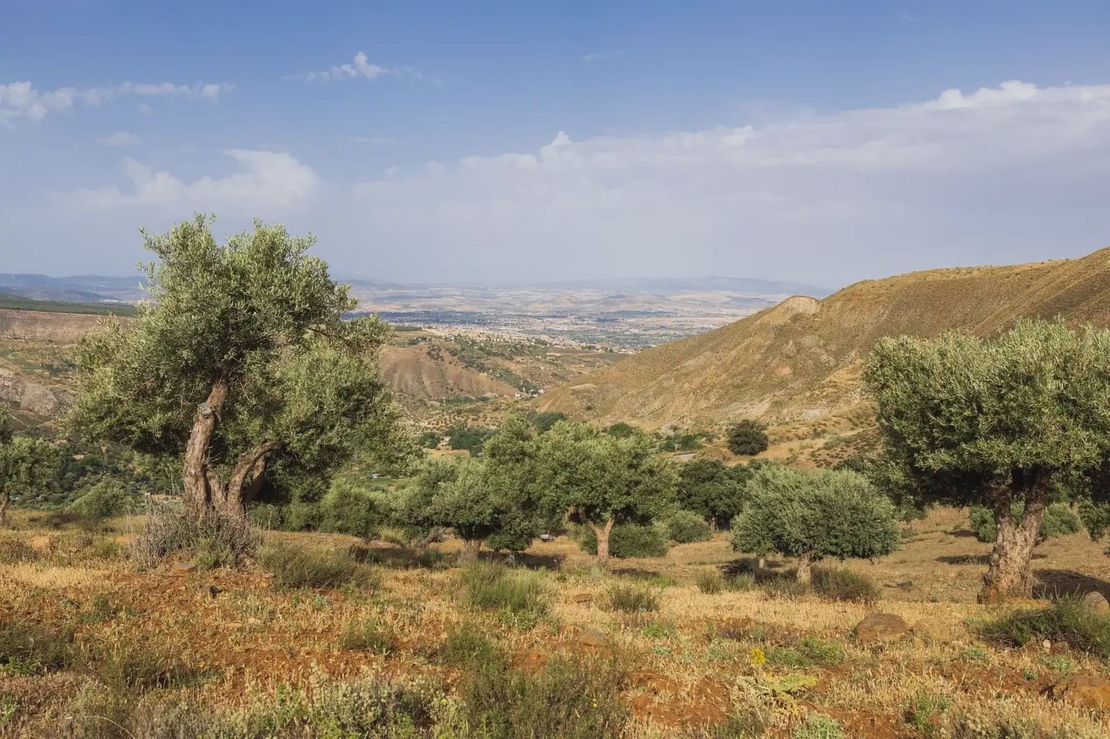 Grunde uden byggetilladelser til salg i Sierra Nevada - € 350.000 (Ref: 9837132)