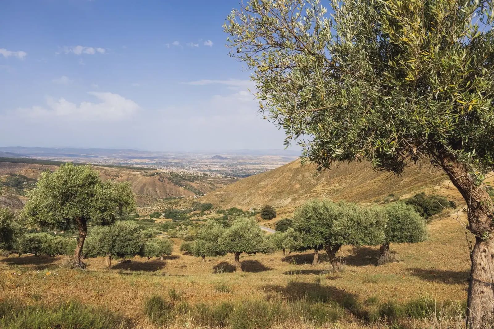 Grunde uden byggetilladelser til salg i Sierra Nevada - € 350.000 (Ref: 9837132)