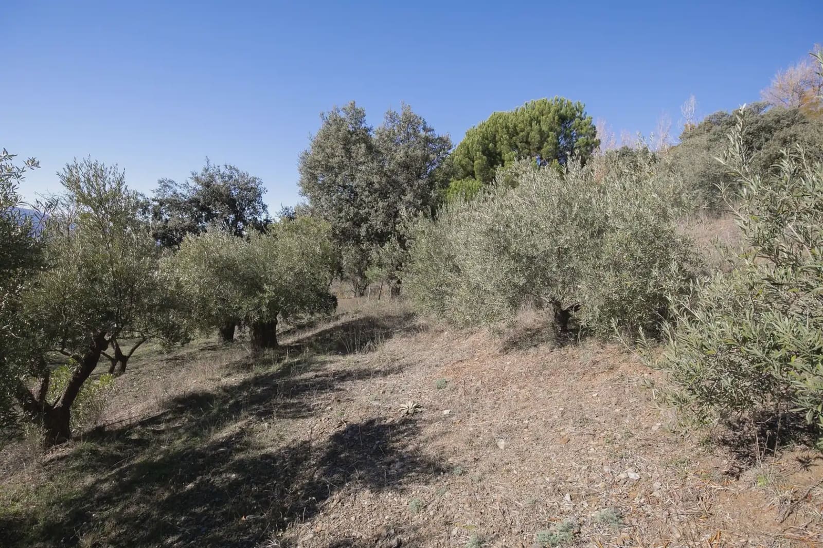 Finca/Landehus til salg i La Taha med garage - € 325.000 (Ref: 9837135)
