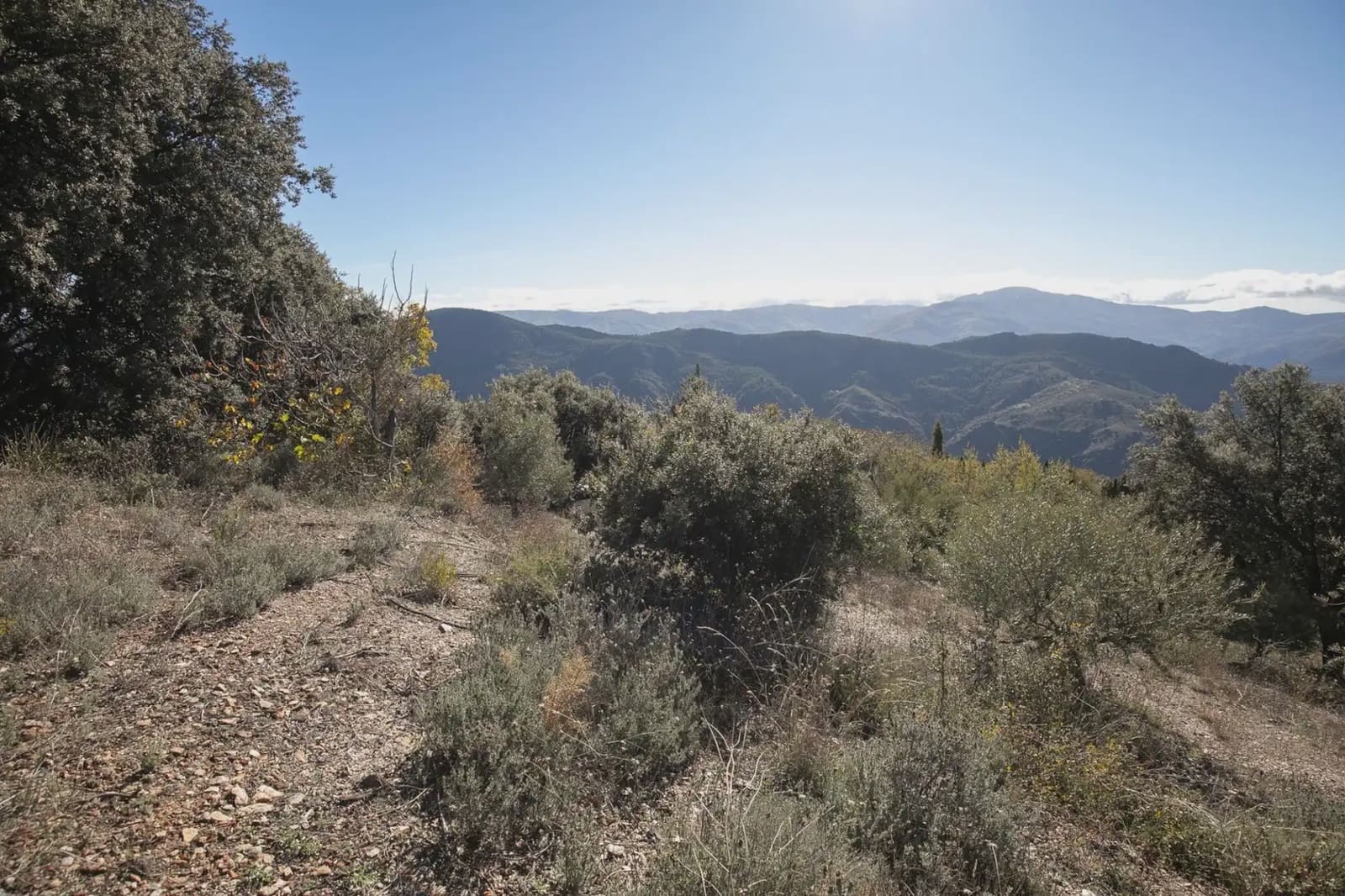 Finca/Landehus til salg i La Taha med garage - € 325.000 (Ref: 9837135)