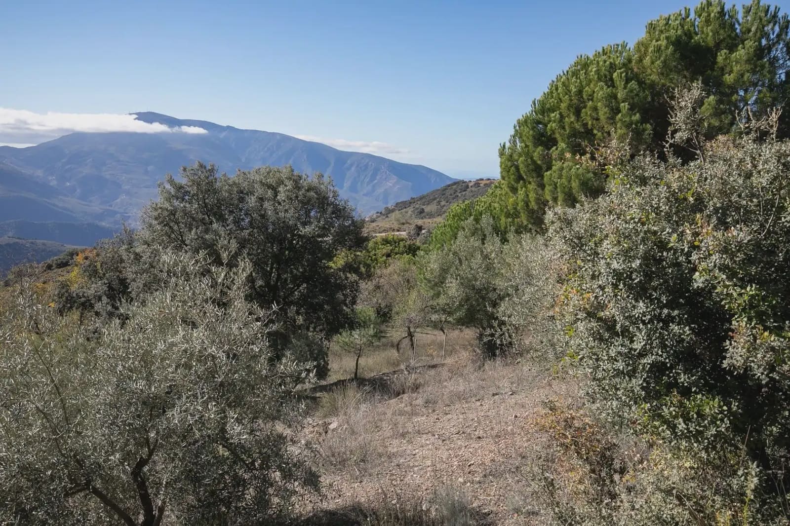 Finca/Landehus til salg i La Taha med garage - € 325.000 (Ref: 9837135)