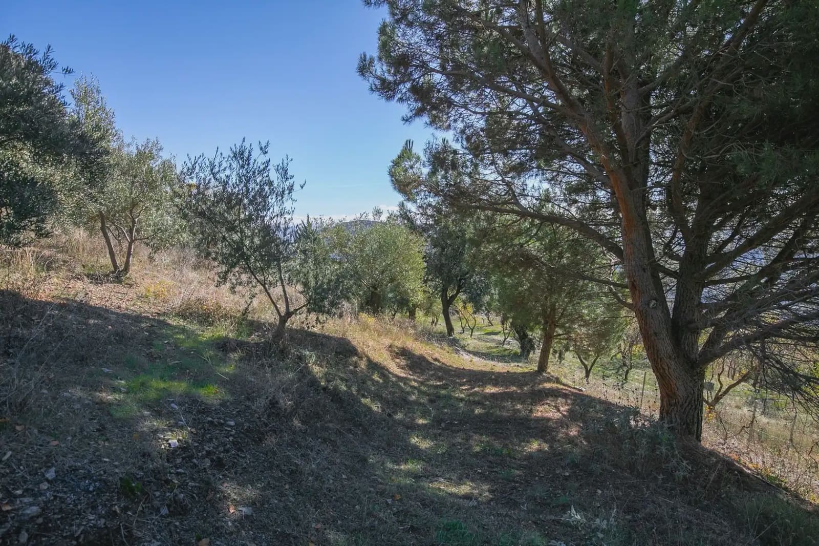 Finca/Landehus til salg i La Taha med garage - € 325.000 (Ref: 9837135)