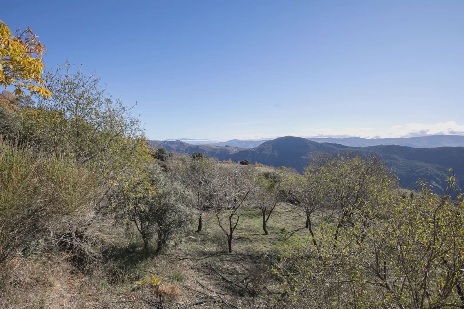 Finca/Landehus til salg i La Taha med garage - € 325.000 (Ref: 9837135)