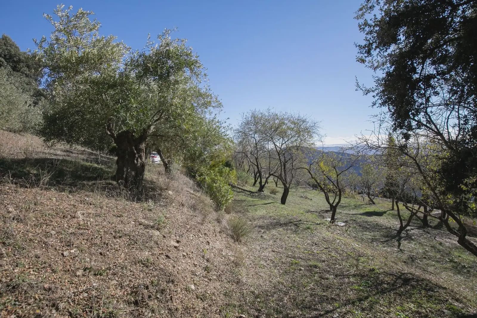 Finca/Landehus til salg i La Taha med garage - € 325.000 (Ref: 9837135)
