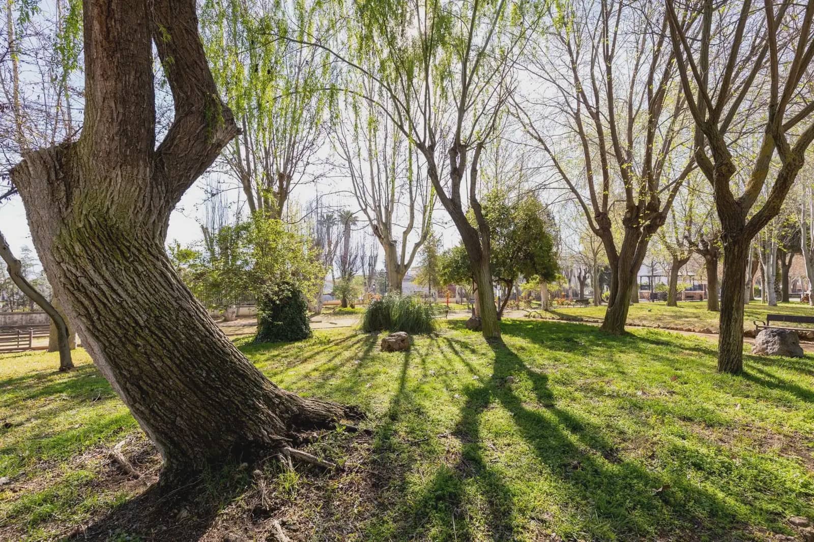 Building Plot for sale in Otura - € 65,000 (Ref: 9837161)