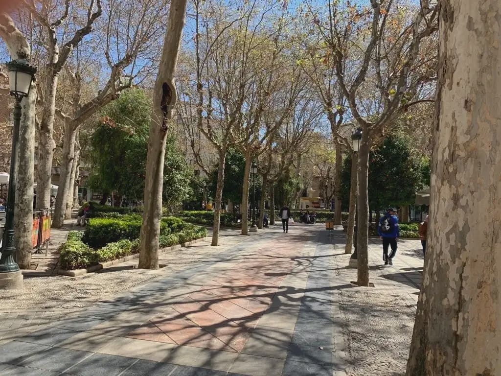 Gewerbe zu verkaufen in Granada Stadt - 900.000 € (Ref: 9837180)