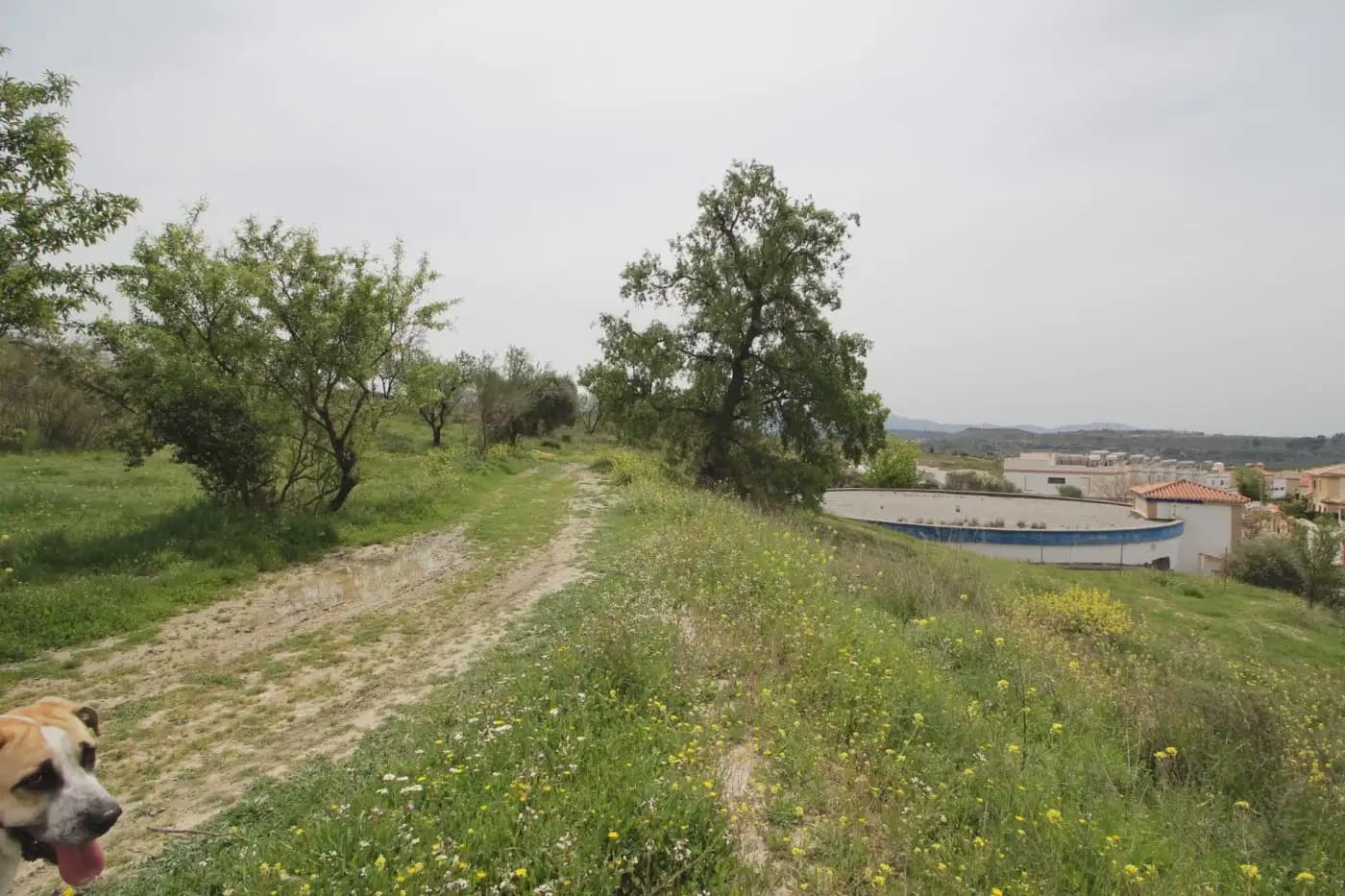 Finca/Herregård til salgs i Jun - € 110 000 (Ref: 9837182)