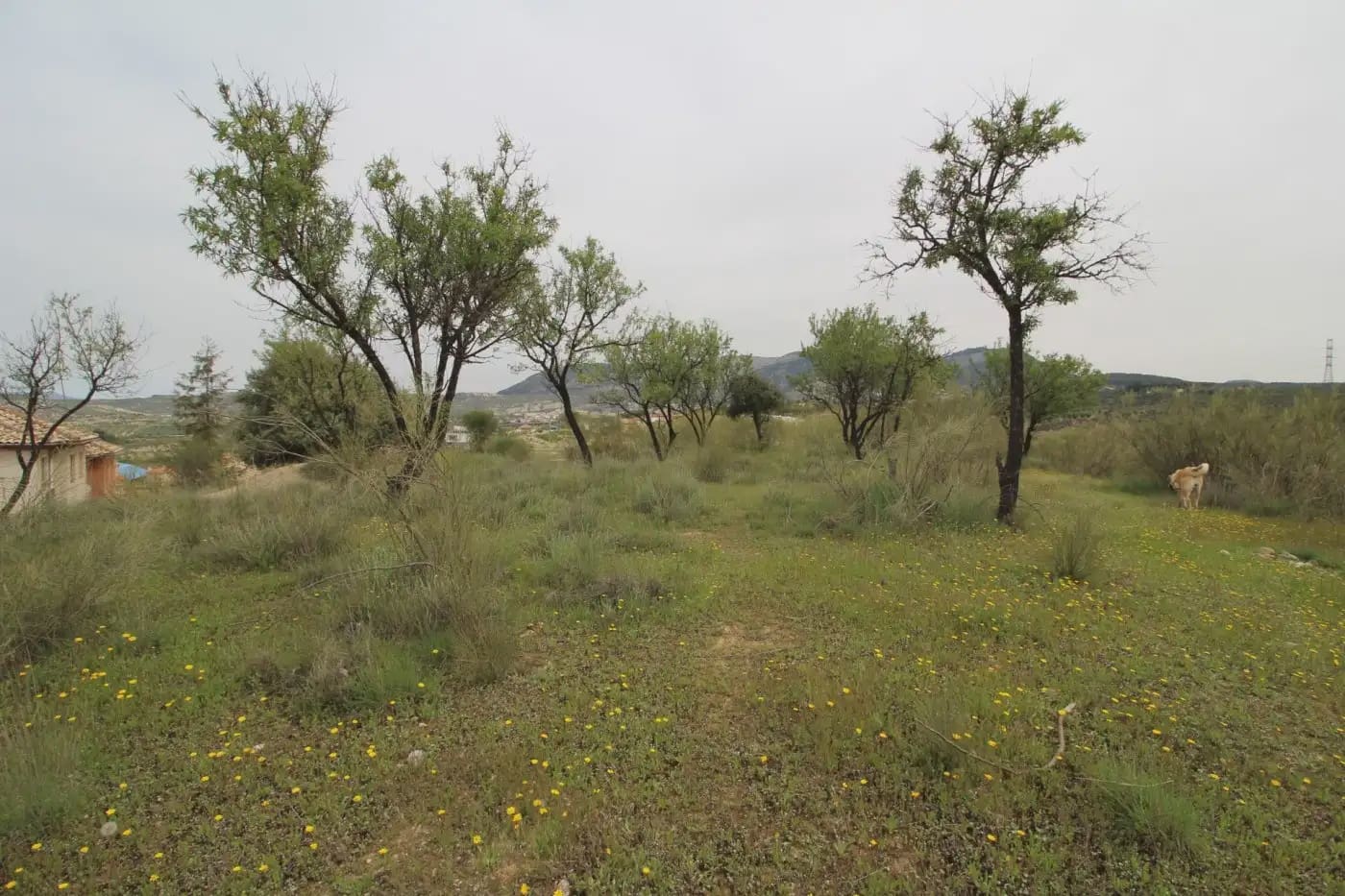 Finca/Herregård til salgs i Jun - € 110 000 (Ref: 9837182)