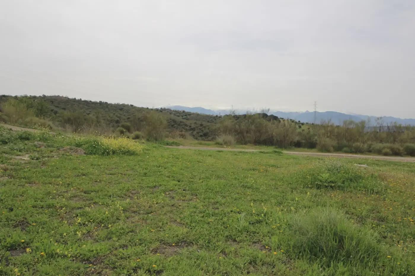 Finca/Herregård til salgs i Jun - € 110 000 (Ref: 9837182)