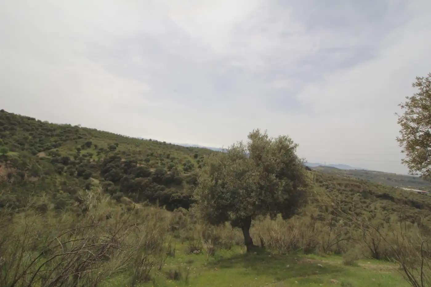 Finca/Herregård til salgs i Jun - € 110 000 (Ref: 9837182)