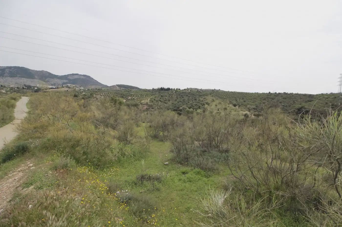 Finca/Herregård til salgs i Jun - € 110 000 (Ref: 9837182)