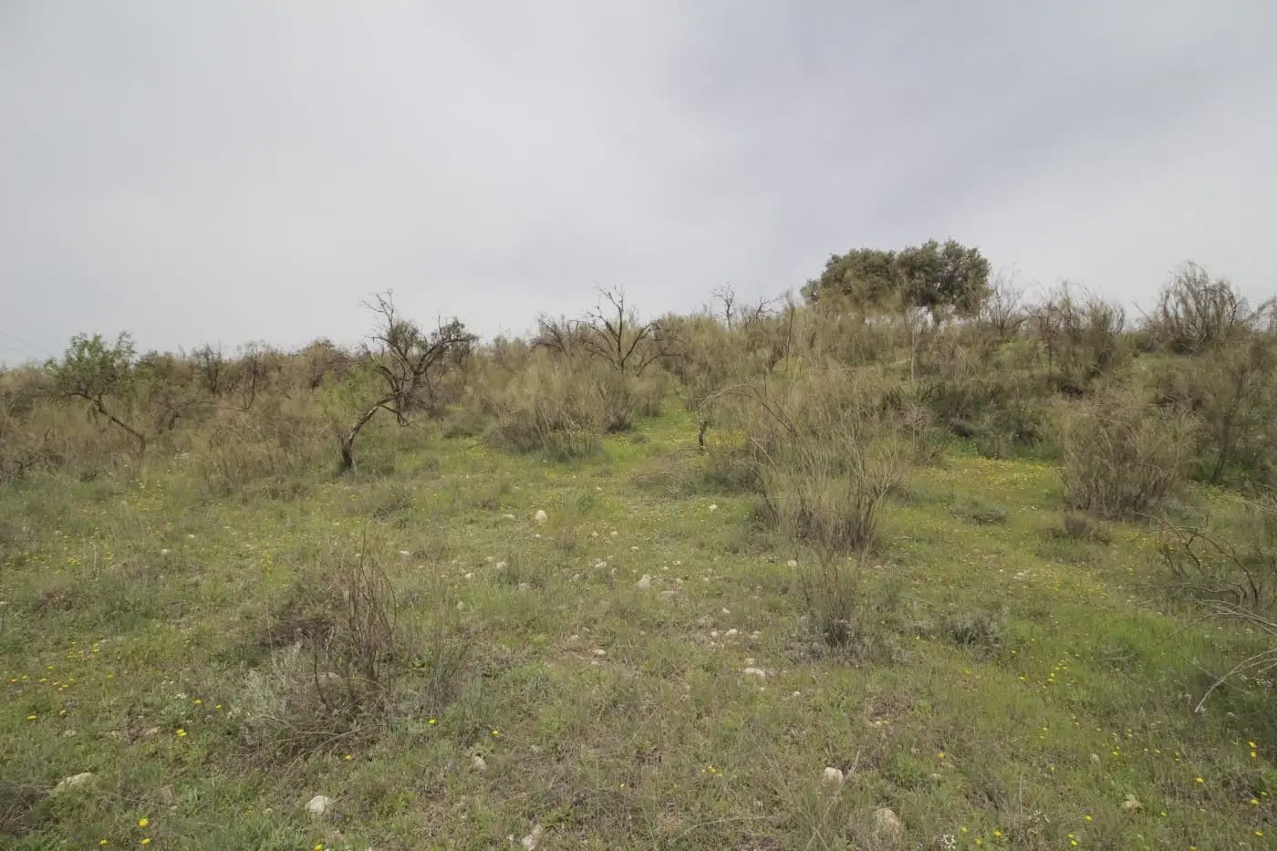 Finca/Herregård til salgs i Jun - € 110 000 (Ref: 9837182)