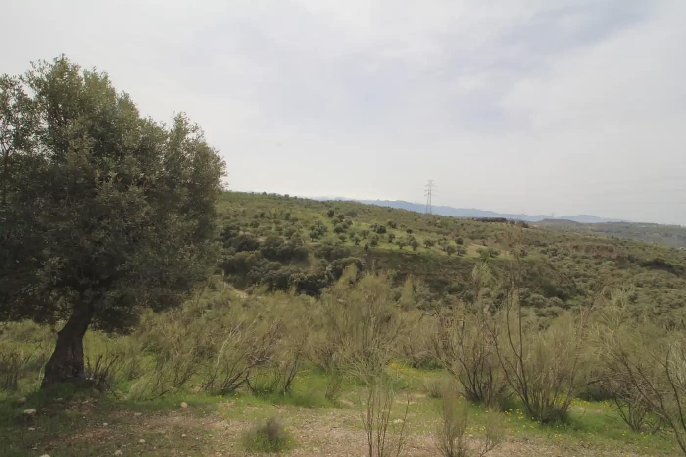 Finca/Herregård til salgs i Jun - € 110 000 (Ref: 9837182)