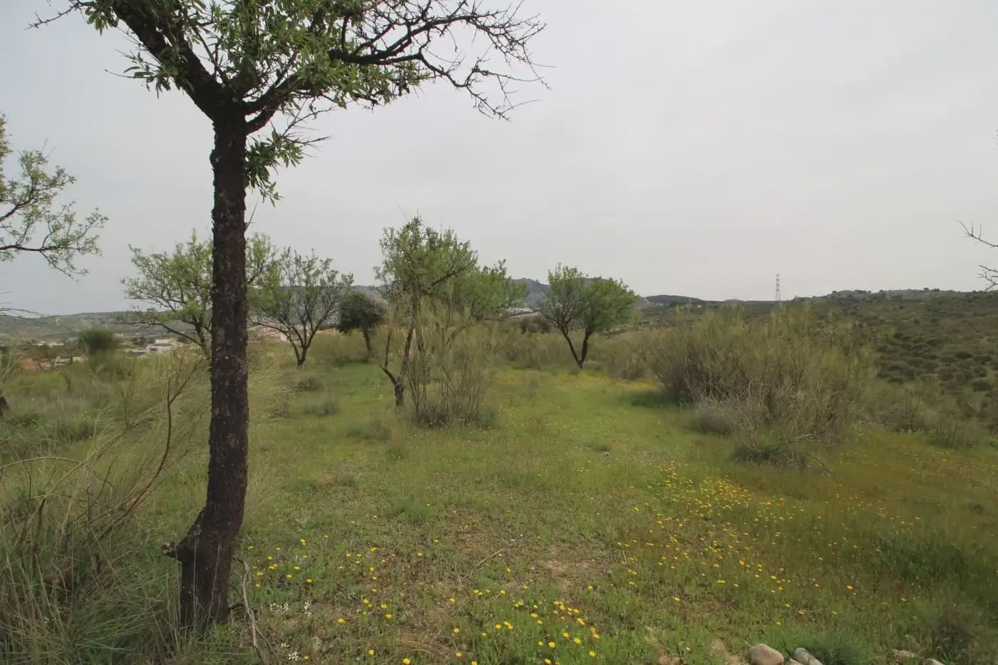 Finca/Herregård til salgs i Jun - € 110 000 (Ref: 9837182)