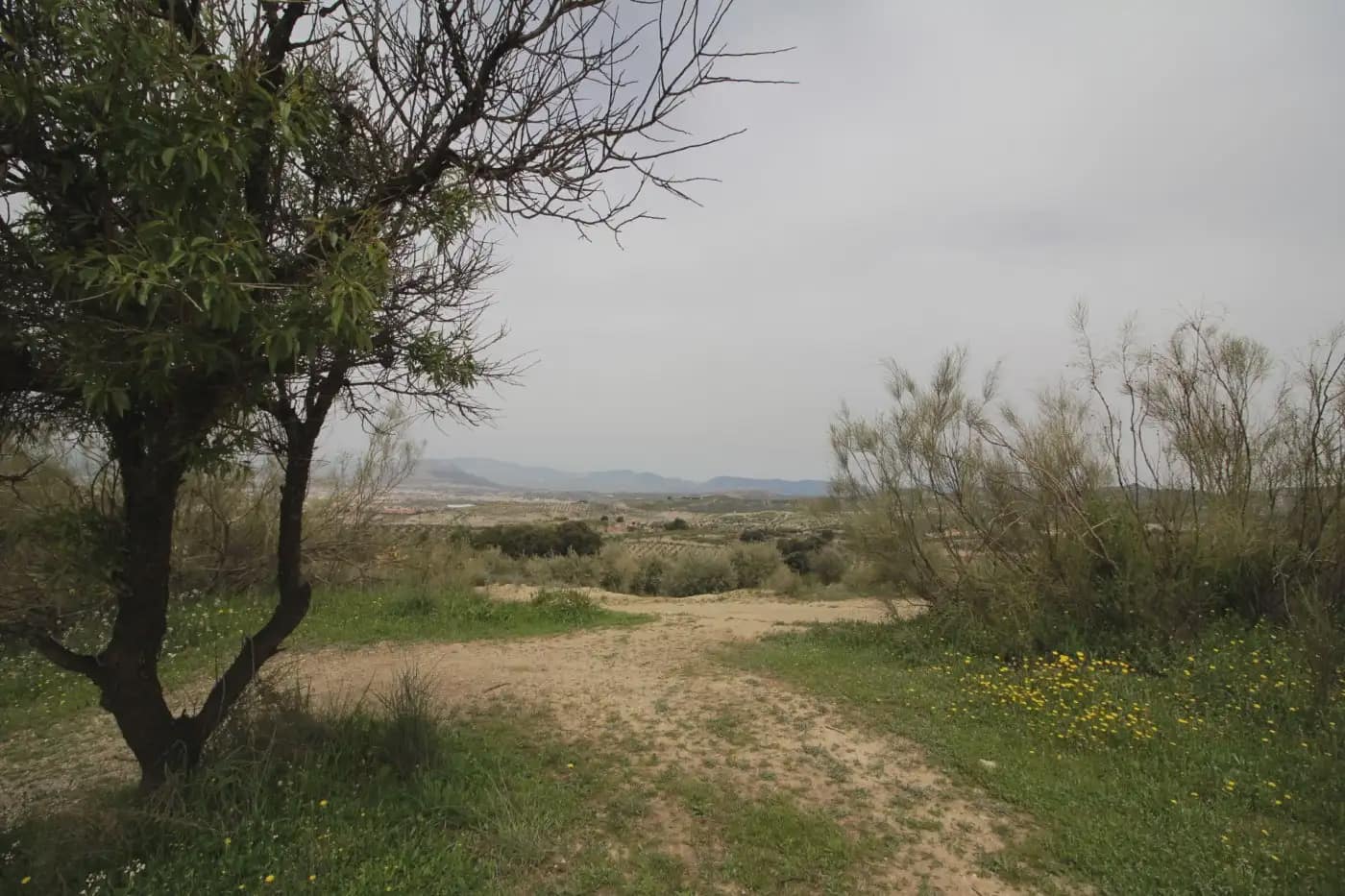 Finca/Herregård til salgs i Jun - € 110 000 (Ref: 9837182)