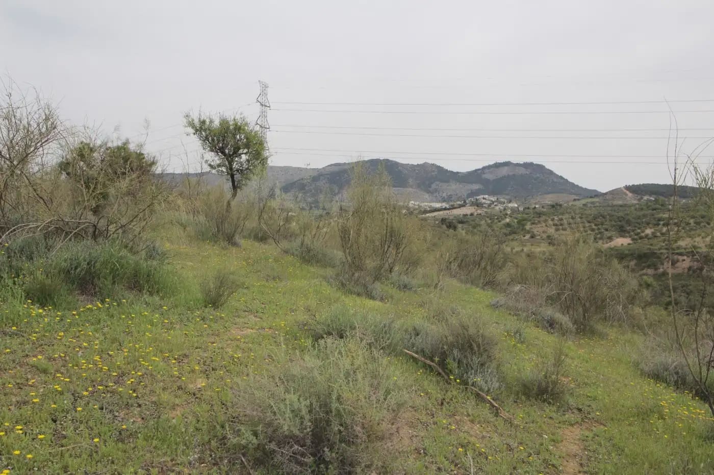 Finca/Herregård til salgs i Jun - € 110 000 (Ref: 9837182)