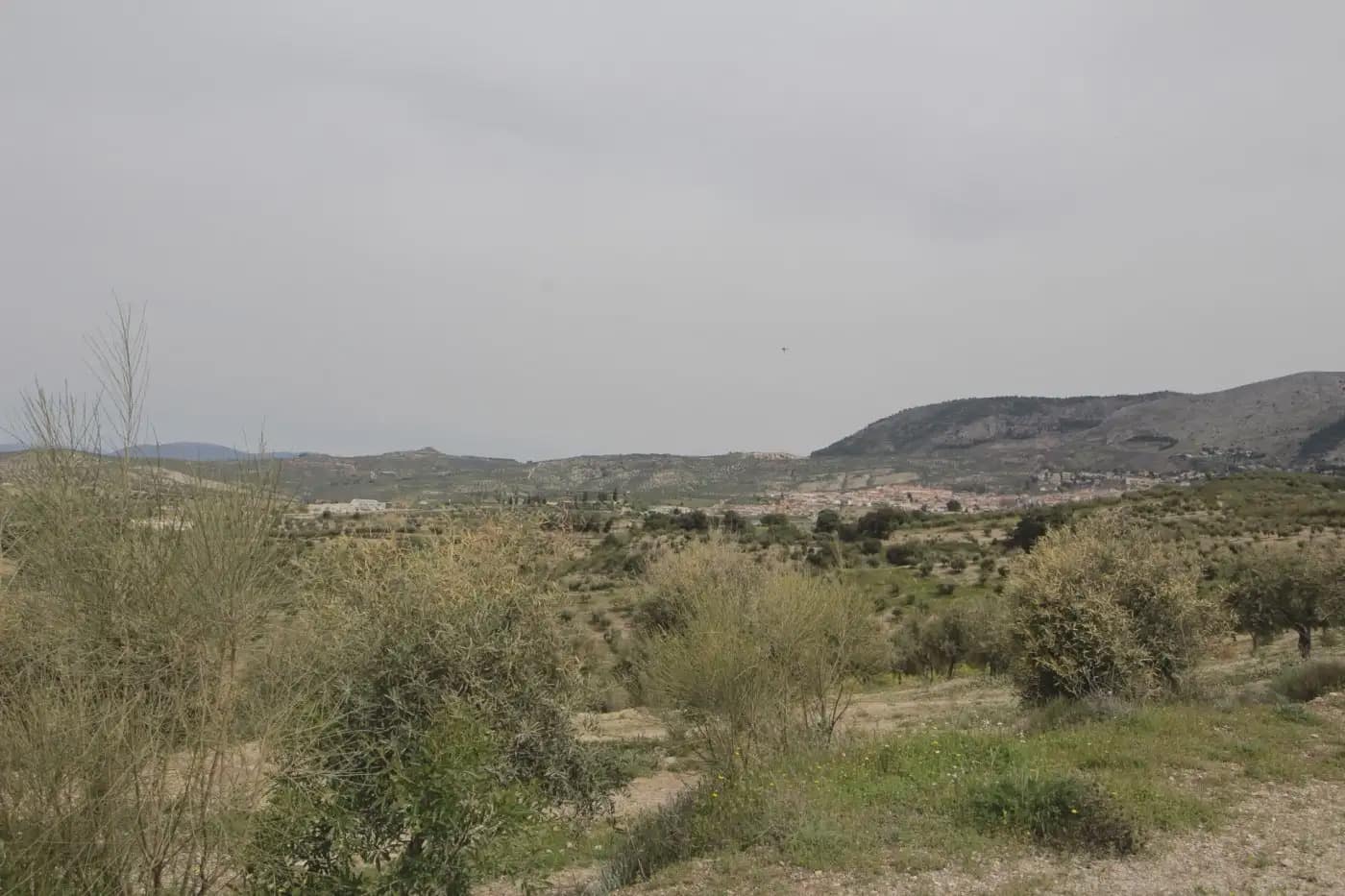 Finca/Herregård til salgs i Jun - € 110 000 (Ref: 9837182)